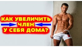 Новые статьи